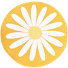Coussin de siège Marguerite Jaune
