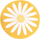 Coussin de siège Marguerite Jaune