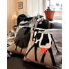 Cushion cover 45x45cm Cow