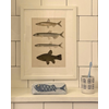 Trousse Poisson