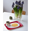 Tray Small Egg Red