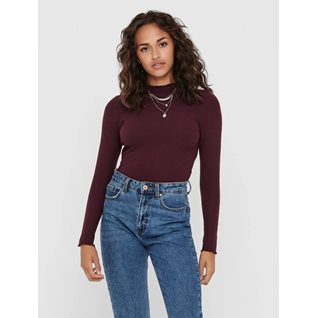 ONLEMMA L/S HIGH NECK TOP NOOS JRS