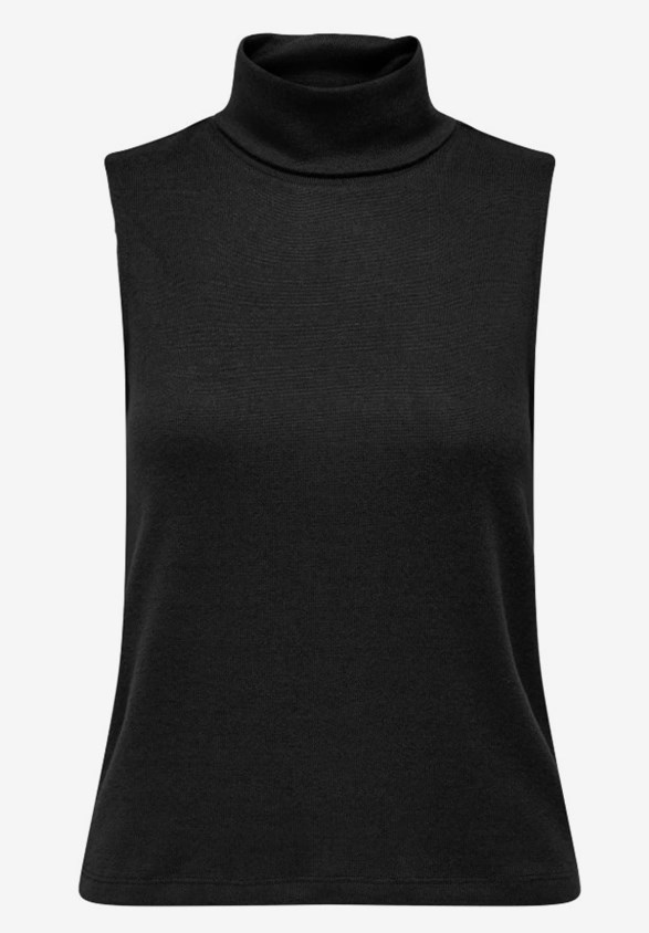 JDYTONSY S/L ROLL NECK TOP JRS DIA