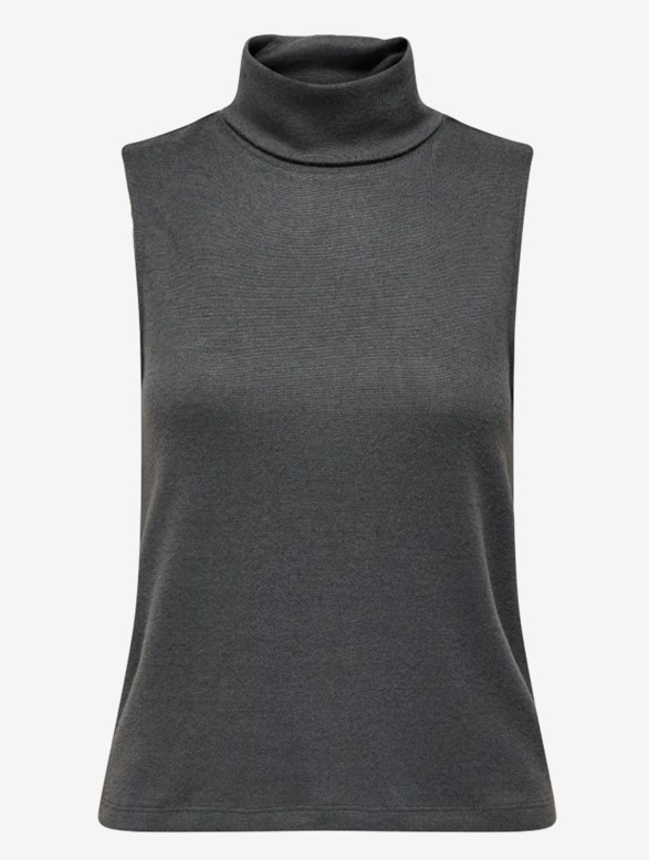 JDYTONSY S/L ROLL NECK TOP JRS DIA