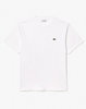 CREWNECK T-SHIRTS MALE AD