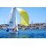 C55 Spinnaker - vit