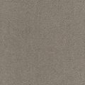 Dream 500 cm Camel 3, Lano