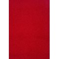 Zen Heltäckningsmatta 400 cm Ruby 9