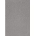 Zen Heltäckningsmatta 400 cm Silver 1