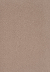 Zen Heltäckningsmatta 400 cm Camel 1