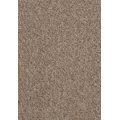 Granit Heltäckningsmatta 500 cm Beige 9