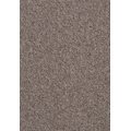 Granit Heltäckningsmatta 500 cm Almond