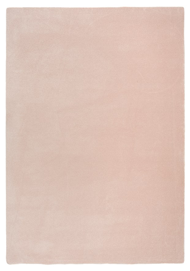 Hattara Rose, VM-Carpet