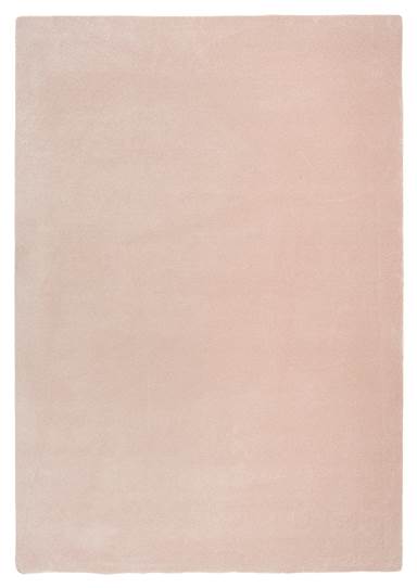 Hattara Rose, VM-Carpet