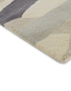Diffinity Oyster, Harlequin