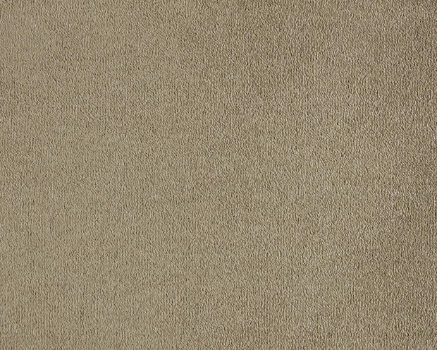 Lior Heltäckningsmatta 400 cm Camel - LANO