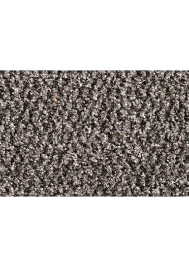 Ingresso Teak, Polytuft