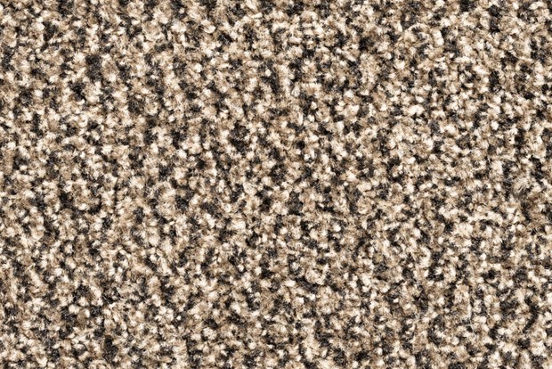 Ingresso Taupe, Polytuft