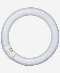 Osram Lumilux T9 C L 40 W/865 G10q