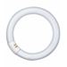 Osram Lumilux T9 C L 40 W/865 G10q