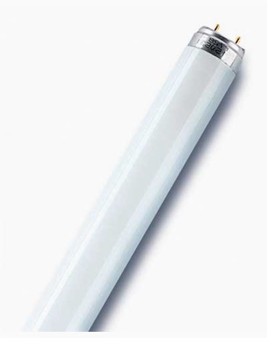 Osram T8 L SHORT (1m) 36W/840-1m Lumilux Cool White G13. OBS! 970 mm