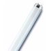 Osram T8 L SHORT (1m) 36W/840-1m Lumilux Cool White G13. OBS! 970 mm
