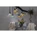 Star Trading Vaalea silmukka Circus Shade, multicolor