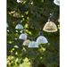 Star Trading Vaalea silmukka Circus Shade, multicolor