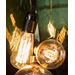 Danlamp Edison glödlampa med koltråd. 60W E27