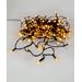 Star Trading LED-lysslynge Golden Varm Hvit. 12,5m