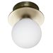 Globen Lighting Vägglampa Art Deco 24 Ip44 Borstad Mässing