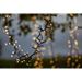 Star Trading LED-lysslynge Shiny Warm White 11m
