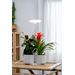 AIRAM Vekstbelysning Ivy 14W/835 650lm