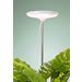 AIRAM Vekstbelysning Ivy 14W/835 650lm