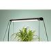 AIRAM LED-Vekstpære Verso 14W/840 750lm