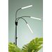 AIRAM Vekstbelysning Palm 24W/940 1130lm