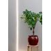 AIRAM Vekstbelysning LED strip 2m
