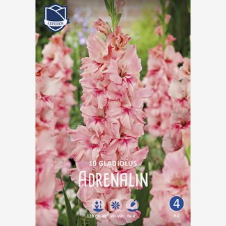 Gladiol, Adrenalin