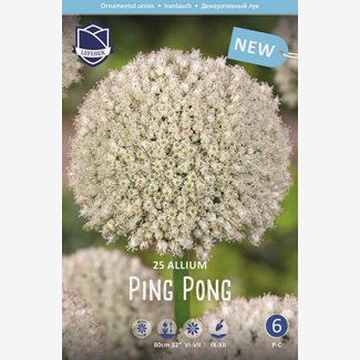 Allium Ping Pong