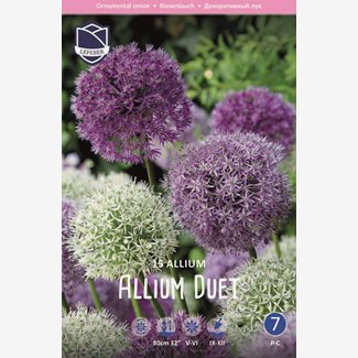 Perfect Partners, Allium Duet