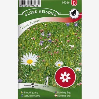 Blomsterblandning, Mix, Ängsblommor