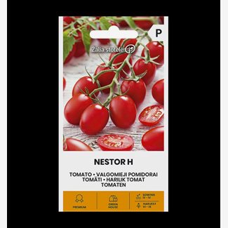 Tomat, Nestor F1