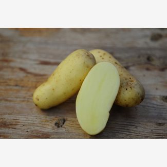 Sättpotatis, Amandine, 1 kg