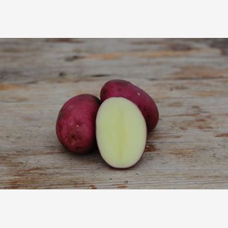 Sättpotatis, Asterix, 1 kg
