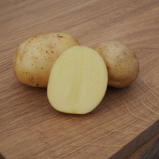 Sättpotatis, Connect, eko, 1 kg