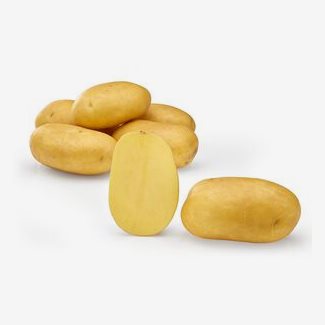 Sättpotatis, Lea, eko, 1 kg