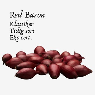 Röd lök, Red Baron, 250 gram