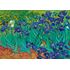 1000 bitar - Vincent Van Gogh, Irises