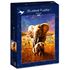 1000 bitar - Adrian Chesterman, Elephant