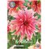Dahlia, Labyrinth